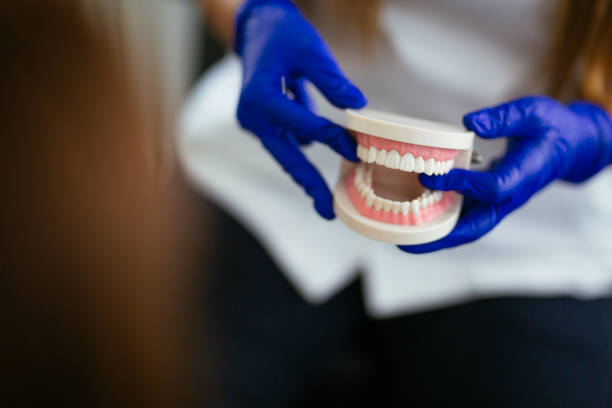 Best Dentures (Full and Partial)  in Perham, MN